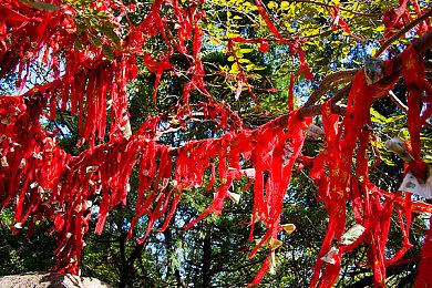 《俄罗斯方块永恒篇》将登陆PS4＆5平台 超15款游戏